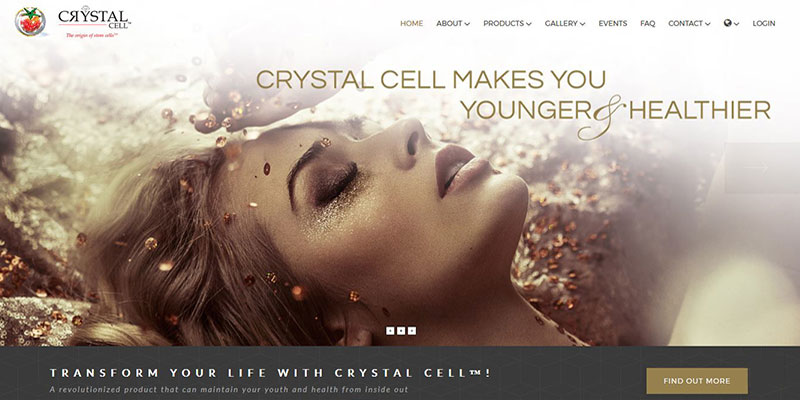 web design portfolio icrystal cell website