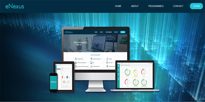 web design portfolio eNexus website